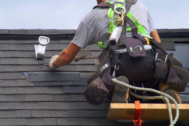 Best Roof Gutter Cleaning  in Vergennes, VT